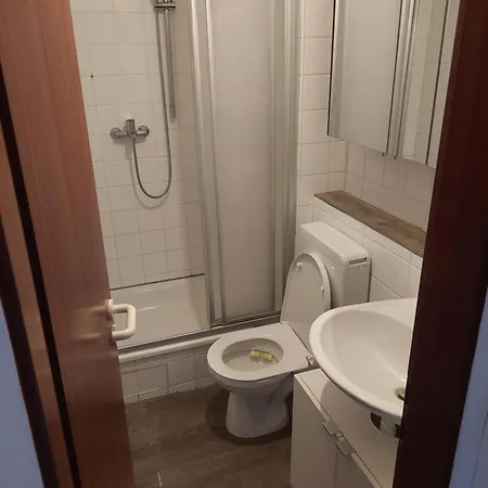 Διαμέρισμα Schoene In Neckarstadt Μάνχαιμ